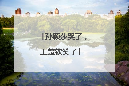 孙颖莎哭了，王楚钦笑了
