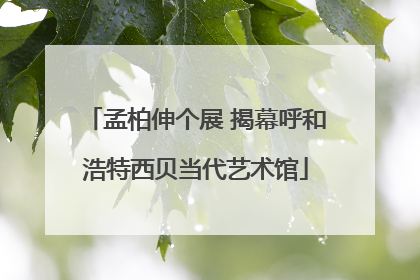 孟柏伸个展 揭幕呼和浩特西贝当代艺术馆