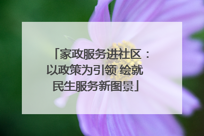 家政服务进社区：以政策为引领 绘就民生服务新图景