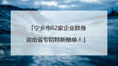 宁乡市62家企业跻身湖南省专精特新榜单！