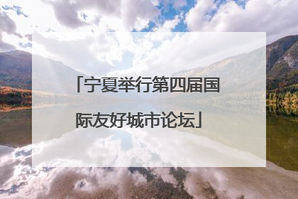 宁夏举行第四届国际友好城市论坛