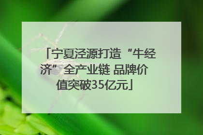 宁夏泾源打造“牛经济”全产业链 品牌价值突破35亿元