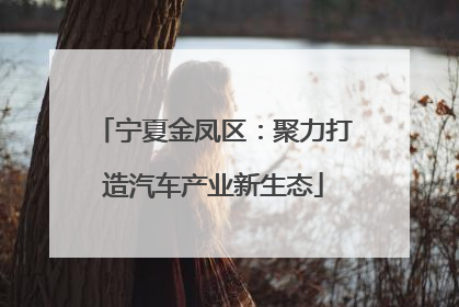 宁夏金凤区：聚力打造汽车产业新生态