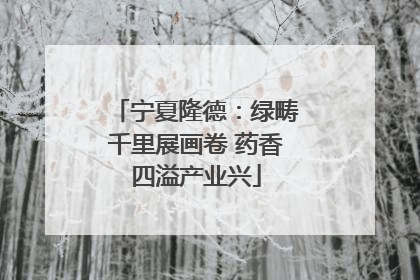宁夏隆德：绿畴千里展画卷 药香四溢产业兴