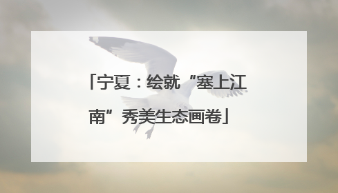 宁夏：绘就“塞上江南”秀美生态画卷