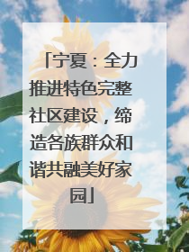 宁夏：全力推进特色完整社区建设，缔造各族群众和谐共融美好家园