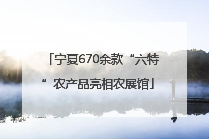 宁夏670余款“六特”农产品亮相农展馆