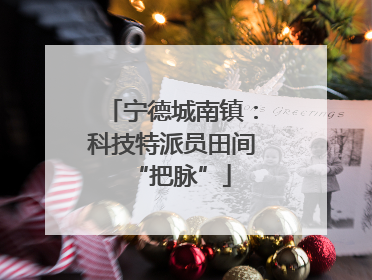 宁德城南镇：科技特派员田间“把脉”