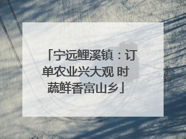宁远鲤溪镇：订单农业兴大观 时蔬鲜香富山乡