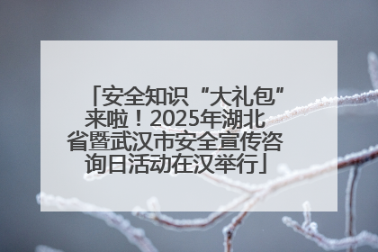 安全知识“大礼包”来啦！2025年湖北省暨武汉市安全宣传咨询日活动在汉举行