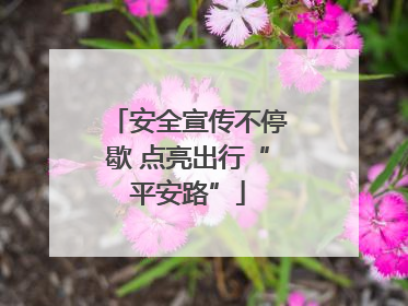 安全宣传不停歇 点亮出行“平安路”