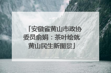 安徽省黄山市政协委员俞娟：茶叶绘就黄山民生新图景