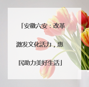 安徽六安：改革激发文化活力，惠民助力美好生活