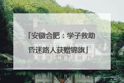 安徽合肥：学子救助昏迷路人获赠锦旗