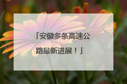 安徽多条高速公路最新进展！
