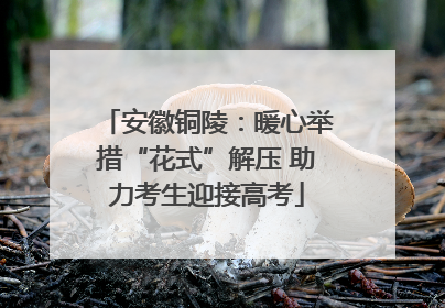 安徽铜陵：暖心举措“花式”解压 助力考生迎接高考