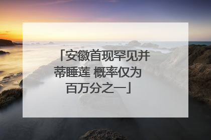 安徽首现罕见并蒂睡莲 概率仅为百万分之一