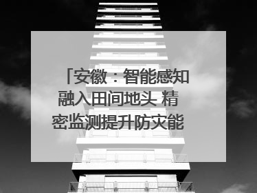 安徽：智能感知融入田间地头 精密监测提升防灾能力｜增发国债气象项目落地见效系列报道