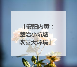安阳内黄：整治小坑塘 改善大环境