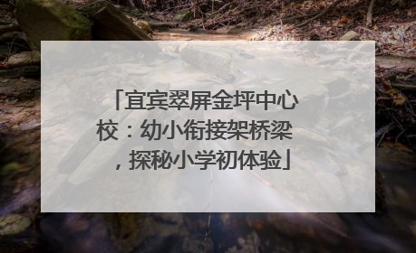 宜宾翠屏金坪中心校：幼小衔接架桥梁，探秘小学初体验