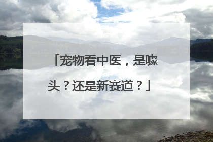 宠物看中医，是噱头？还是新赛道？