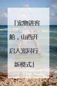 宠物进客舱，山西开启人宠同行新模式