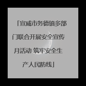 宣威市务德镇多部门联合开展安全宣传月活动 筑牢安全生产人民防线