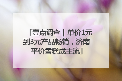 壹点调查｜单价1元到3元产品畅销，济南平价雪糕成主流