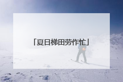 夏日梯田劳作忙