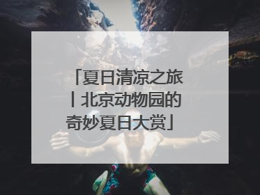 夏日清凉之旅丨北京动物园的奇妙夏日大赏