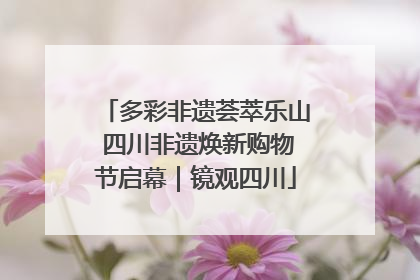 多彩非遗荟萃乐山 四川非遗焕新购物节启幕｜镜观四川