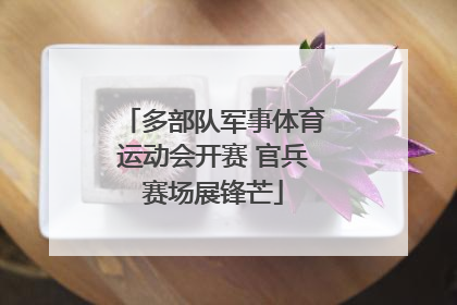 多部队军事体育运动会开赛 官兵赛场展锋芒