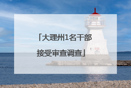 大理州1名干部接受审查调查