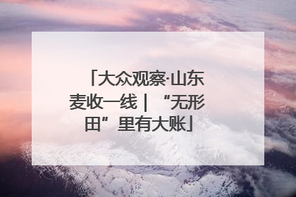 大众观察·山东麦收一线｜“无形田”里有大账