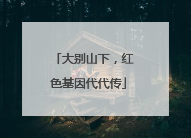 大别山下，红色基因代代传