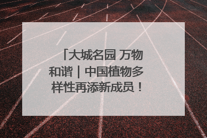 大城名园 万物和谐｜中国植物多样性再添新成员！它只在西藏墨脱