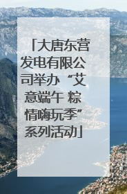 大唐东营发电有限公司举办“艾意端午 粽情嗨玩季”系列活动