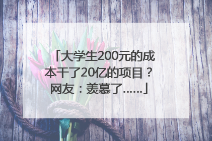大学生200元的成本干了20亿的项目？网友：羡慕了……