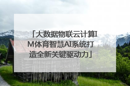 大数据物联云计算IM体育智慧AI系统打造全新关键驱动力