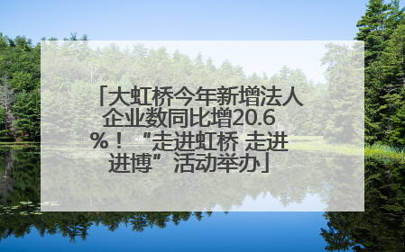 大虹桥今年新增法人企业数同比增20.6%！“走进虹桥 走进进博”活动举办