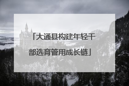大通县构建年轻干部选育管用成长链
