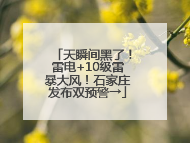 天瞬间黑了！雷电+10级雷暴大风！石家庄发布双预警→