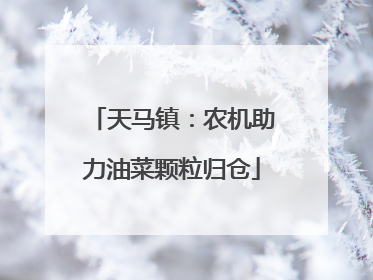天马镇：农机助力油菜颗粒归仓