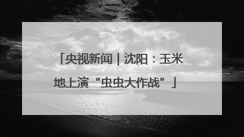 央视新闻｜沈阳：玉米地上演“虫虫大作战”