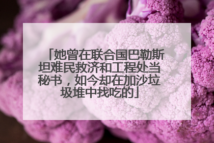她曾在联合国巴勒斯坦难民救济和工程处当秘书，如今却在加沙垃圾堆中找吃的