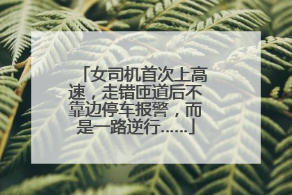 女司机首次上高速，走错匝道后不靠边停车报警，而是一路逆行……