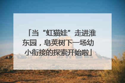 当“虹猫娃”走进淮东园，皂荚树下一场幼小衔接的探索开始啦