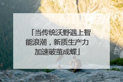 当传统沃野遇上智能浪潮，新质生产力加速破茧成蝶