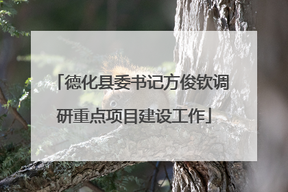 德化县委书记方俊钦调研重点项目建设工作