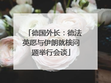 德国外长：德法英愿与伊朗就核问题举行会谈